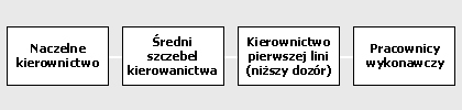 schemat szczebli zarz�dzania